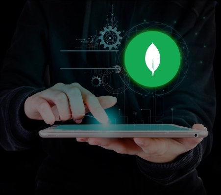 MongoDB Database Development MongoDB